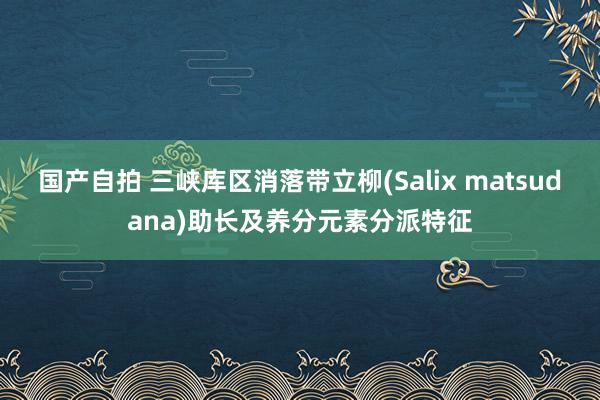 国产自拍 三峡库区消落带立柳(Salix matsudana)助长及养分元素分派特征