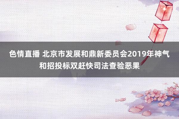 色情直播 北京市发展和鼎新委员会2019年神气和招投标双赶快司法查验恶果