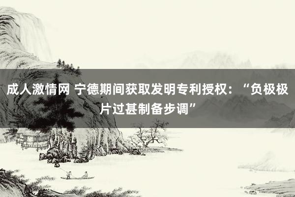 成人激情网 宁德期间获取发明专利授权：“负极极片过甚制备步调”