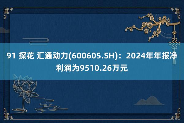 91 探花 汇通动力(600605.SH)：2024年年报净利润为9510.26万元