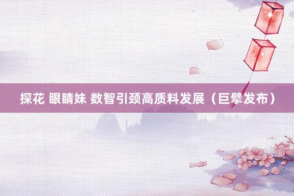 探花 眼睛妹 数智引颈高质料发展（巨擘发布）