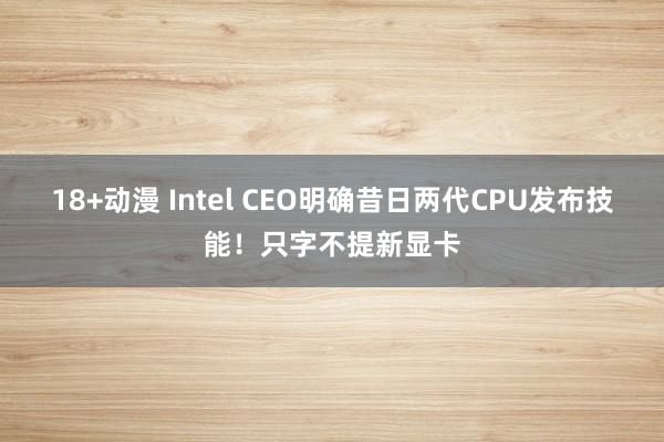 18+动漫 Intel CEO明确昔日两代CPU发布技能！只字不提新显卡