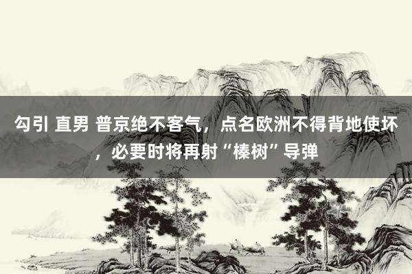 勾引 直男 普京绝不客气，点名欧洲不得背地使坏，必要时将再射“榛树”导弹