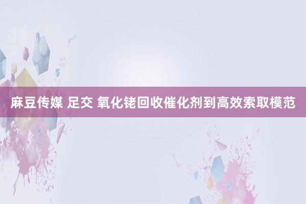 麻豆传媒 足交 氧化铑回收催化剂到高效索取模范