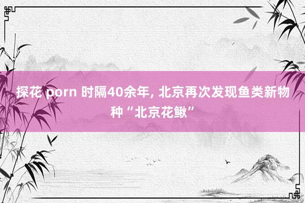 探花 porn 时隔40余年， 北京再次发现鱼类新物种“北京花鳅”
