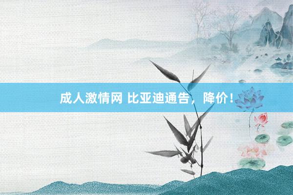 成人激情网 比亚迪通告，降价！