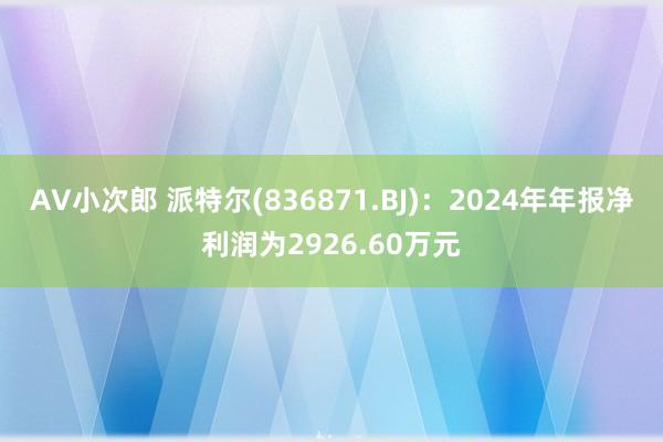 AV小次郎 派特尔(836871.BJ)：2024年年报净利润为2926.60万元