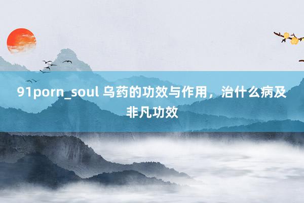 91porn_soul 乌药的功效与作用，治什么病及非凡功效