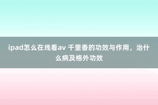 ipad怎么在线看av 千里香的功效与作用，治什么病及格外功效